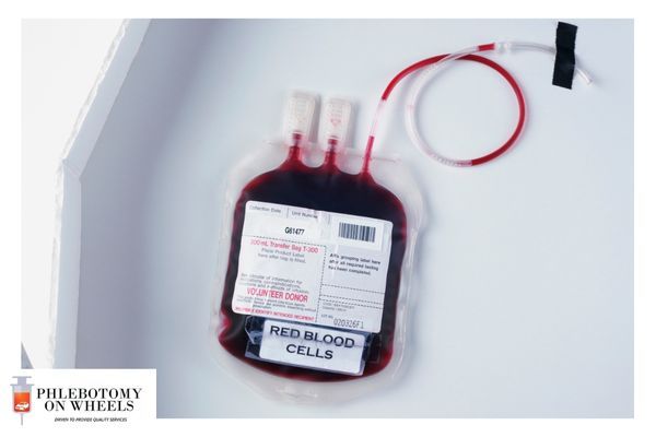 Experience Our Specialized Therapeutic Services